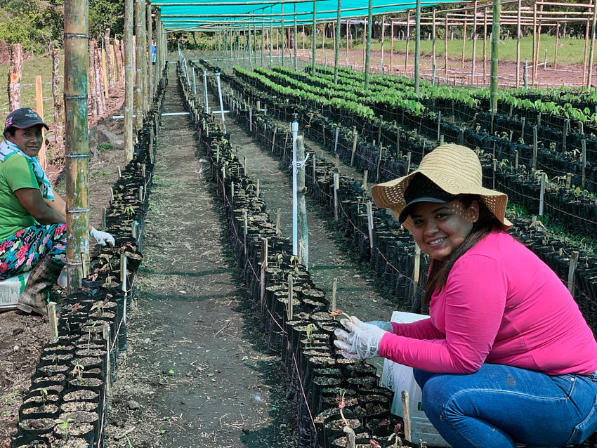 QUÉ hacemos - Siembra con Bocao