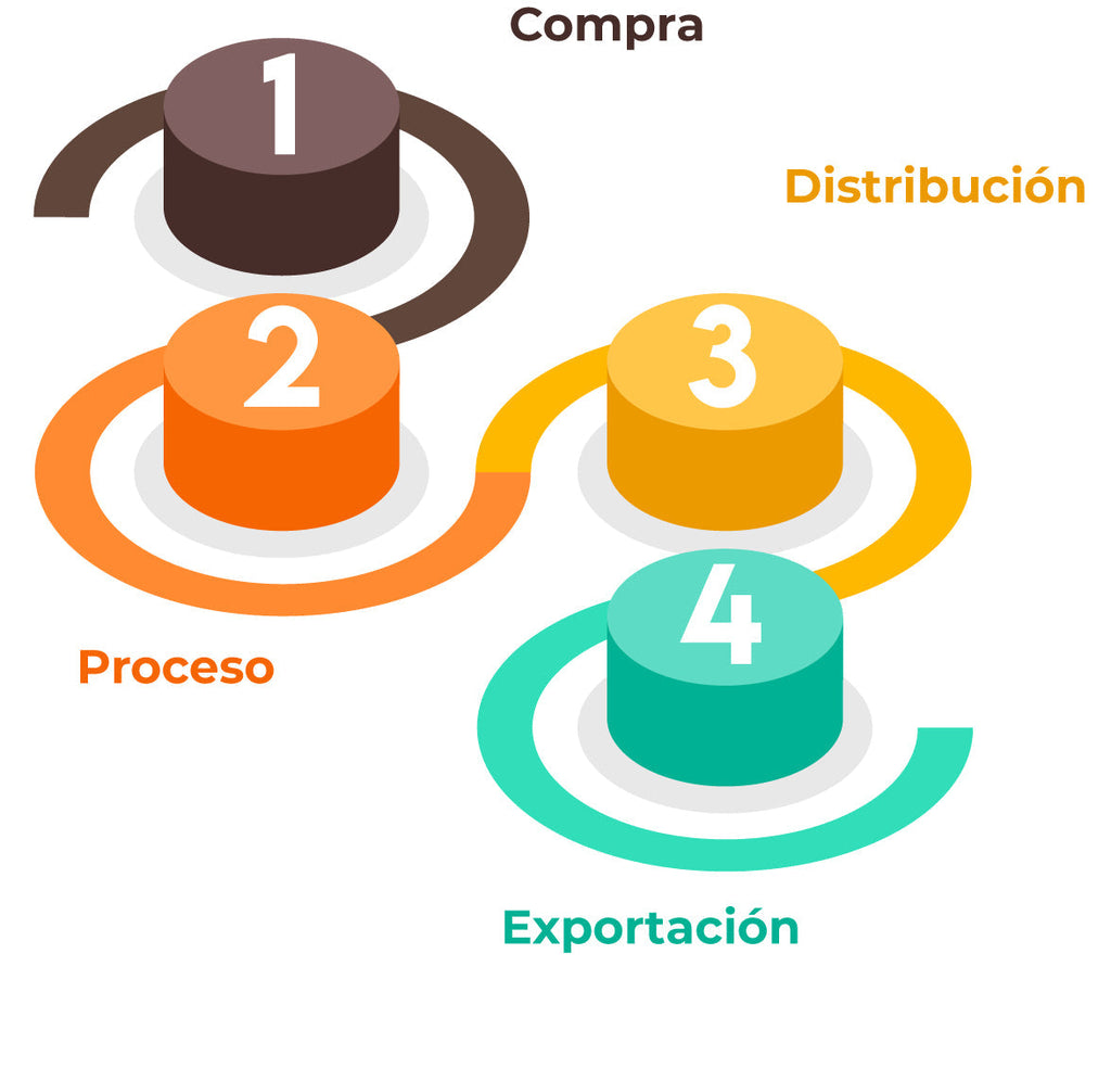 Línea de negocio actuales
