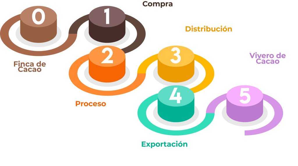 Línea de negocio nuevas